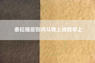 泰拉瑞亚如何从晚上调到早上