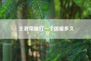 王者荣耀打一个国服多久