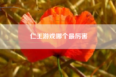 仁王游戏哪个最厉害
