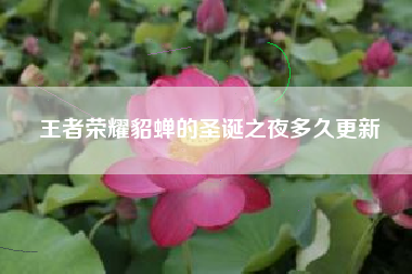 王者荣耀貂蝉的圣诞之夜多久更新