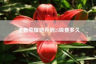 王者荣耀铠升到25级要多久