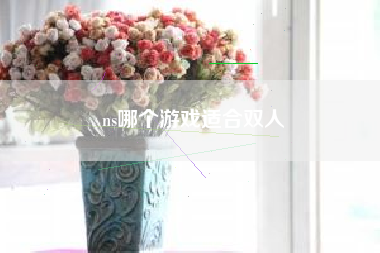 ns哪个游戏适合双人
