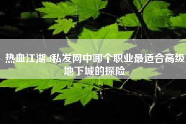 热血江湖sf私发网中哪个职业最适合高级地下城的探险