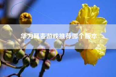 华为耳麦游戏推荐哪个版本