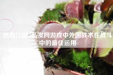热血江湖sf私发网游戏中外围战术在战斗中的最佳运用