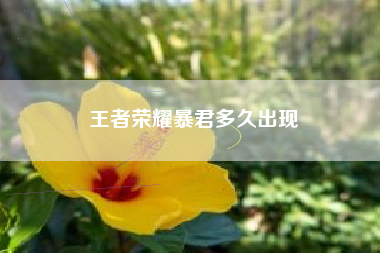 王者荣耀暴君多久出现