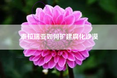 泰拉瑞亚如何扩建腐化沙漠