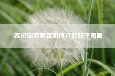 泰拉瑞亚萌新如何打败双子魔眼