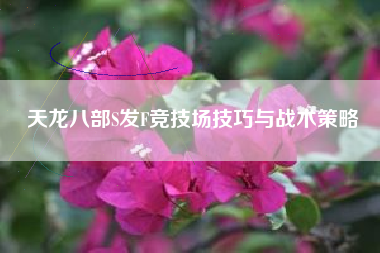 天龙八部S发F竞技场技巧与战术策略