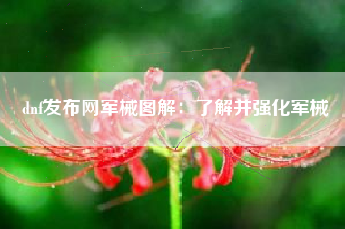 dnf发布网军械图解：了解并强化军械