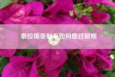 泰拉瑞亚射手如何度过前期