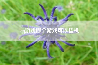 qq游戏哪个游戏可以挂机
