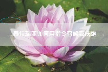 泰拉瑞亚如何用指令召唤喜庆炮