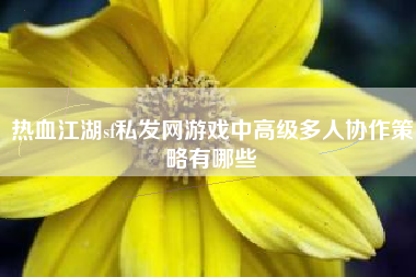 热血江湖sf私发网游戏中高级多人协作策略有哪些