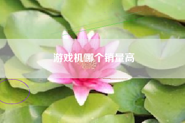 游戏机哪个销量高