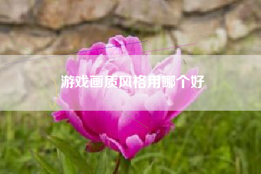 游戏画质风格用哪个好