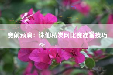 赛前预演：诛仙私发网比赛准备技巧