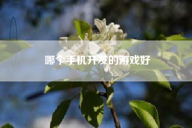 哪个手机开发的游戏好