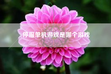 停服单机游戏是哪个游戏