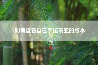 如何查看自己泰拉瑞亚的版本