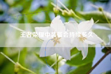 王者荣耀中装备会持续多久