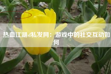 热血江湖sf私发网：游戏中的社交互动如何