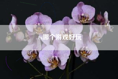 tx哪个游戏好玩
