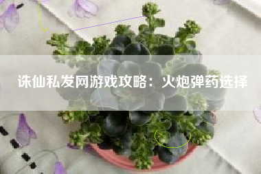 诛仙私发网游戏攻略：火炮弹药选择