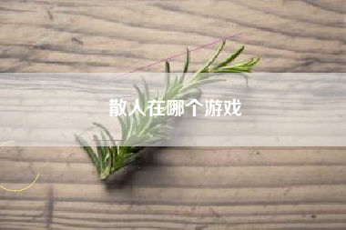 散人在哪个游戏