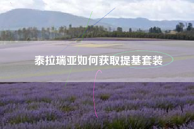 泰拉瑞亚如何获取提基套装