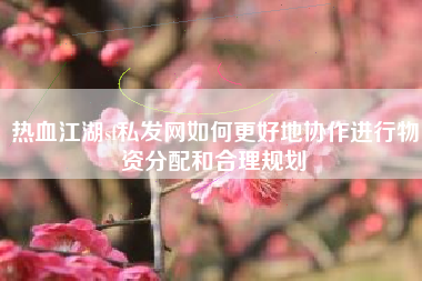 热血江湖sf私发网如何更好地协作进行物资分配和合理规划