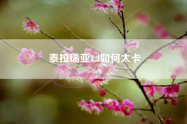 泰拉瑞亚1.3如何太卡