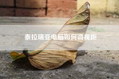 泰拉瑞亚电脑如何调视距