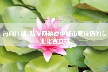 热血江湖sf私发网游戏中城市竞技场的专业比赛安排