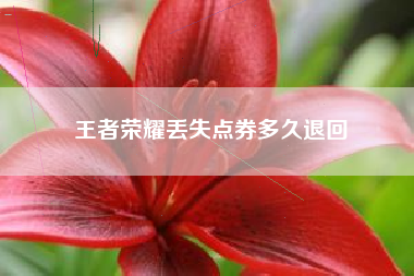 王者荣耀丢失点券多久退回