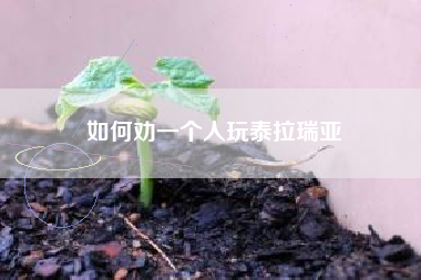 如何劝一个人玩泰拉瑞亚