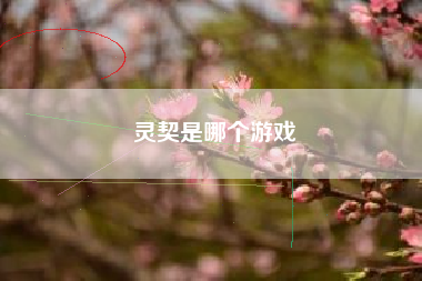 灵契是哪个游戏