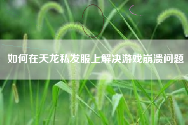 如何在天龙私发服上解决游戏崩溃问题