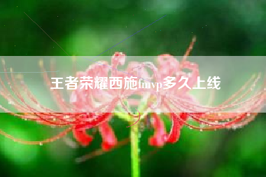 王者荣耀西施fmvp多久上线