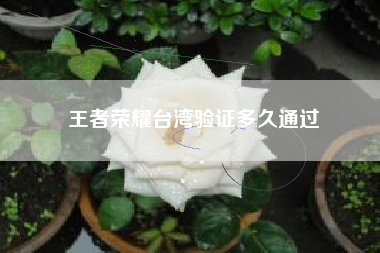 王者荣耀台湾验证多久通过