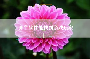 哪个软件能找到游戏玩家