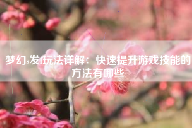 梦幻s发f玩法详解：快速提升游戏技能的方法有哪些