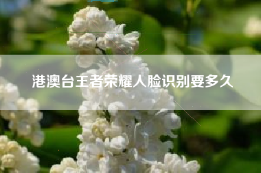 港澳台王者荣耀人脸识别要多久