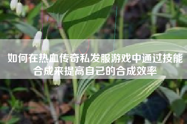 如何在热血传奇私发服游戏中通过技能合成来提高自己的合成效率