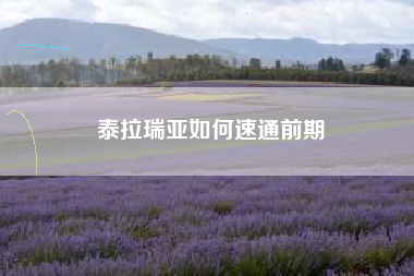 泰拉瑞亚如何速通前期