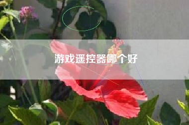 游戏遥控器哪个好