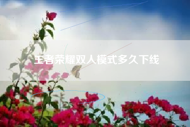 王者荣耀双人模式多久下线