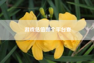 游戏估值哪个平台查