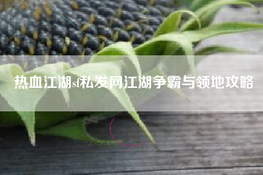 热血江湖sf私发网江湖争霸与领地攻略