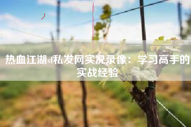 热血江湖sf私发网实况录像：学习高手的实战经验